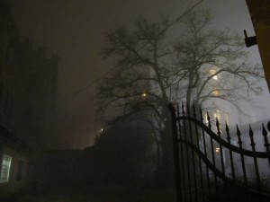 Mirandola-nella-nebbia-13