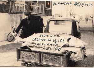 1963-Mirandola-Bellodi-vende-uno-storione-pescato-in-Po