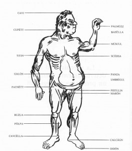 il corpo umano visto da Koki Fregni