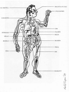 il corpo umano visto da Koki Fregni