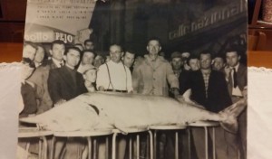1963-Storione-pescato-nel-Secchia-gent.conc_.Lara-Manzini