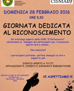 LOCANDINA GIORNATA DI RICONOSCIMENTO - febbraio 2016vv