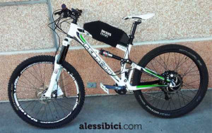 lupo-assistita-ok-600x375