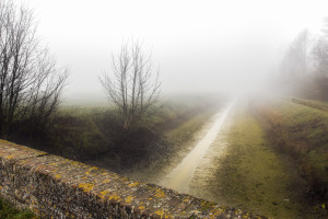 Nebbia in valle - Gianni Basaglia