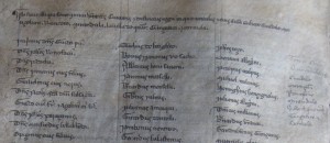 ritaglio Liber Grossus inizio censimento