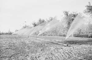 Irrigazione di un campo. Foto di Vasco Pedrazzi