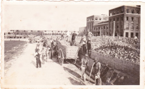1935-Distilleria Mirandola zuccherificio 