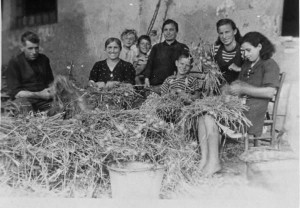 614d7a8842755251e1f5846849c1a6f9