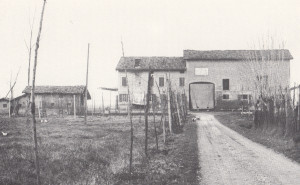 Fig.2 - "Pratograsso" - Camposanto