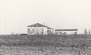 Fig.4 - "Malacompra" San Felice sul Panaro