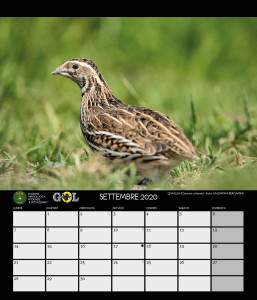 CALENDARIO SOM 2020 - 10 SETTEMBRE