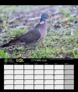 CALENDARIO SOM 2020 - 11 OTTOBRE