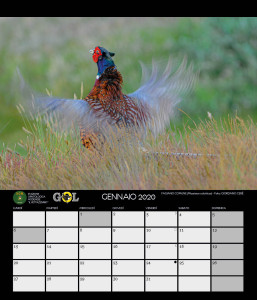 CALENDARIO SOM 2020 - 2 GENNAIO