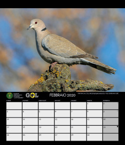 CALENDARIO SOM 2020 - 3 FEBBRAIO