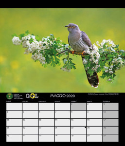 CALENDARIO SOM 2020 - 6 MAGGIO