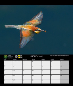 CALENDARIO SOM 2020 - 8 LUGLIO