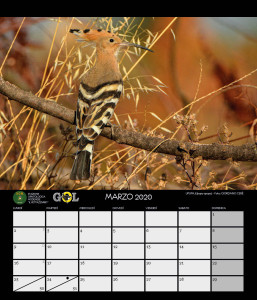 CALENDARIO SOM 2020 MARZO - 4