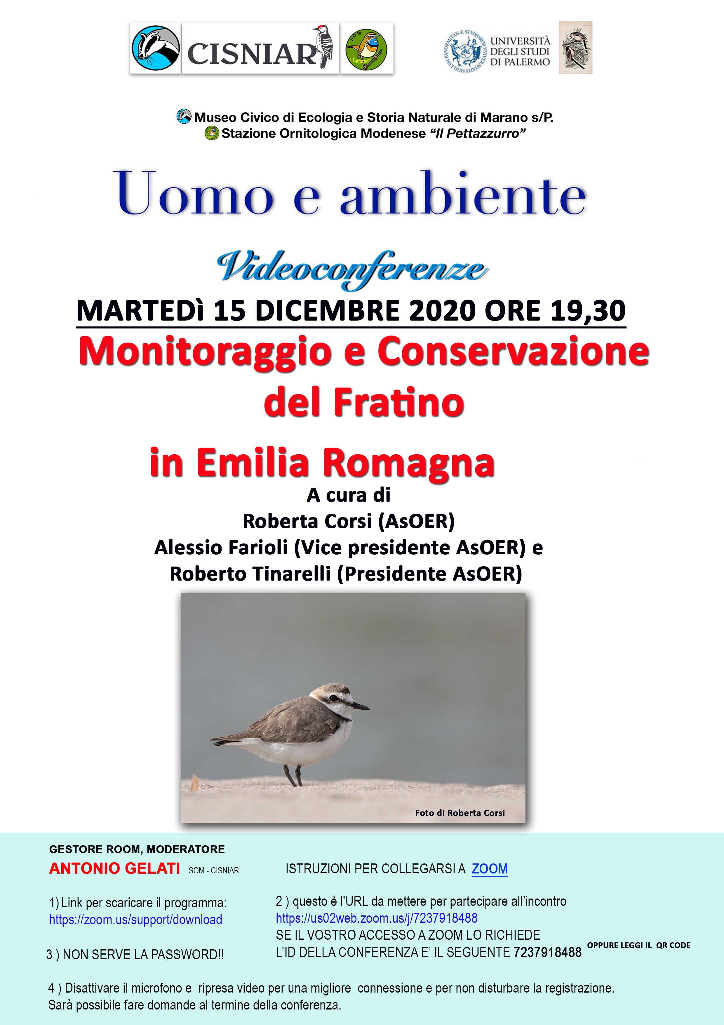 15 dicembre monitoraggio del Fratino - Tinarelli-Farioli