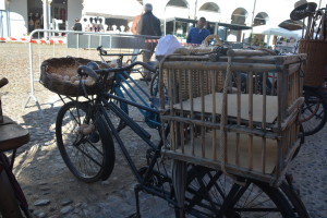 Concordia in Fiore 2022