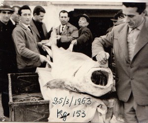 1963-Nino-Fiorani-al-centro-con-lo-storione-catturato-in-Po