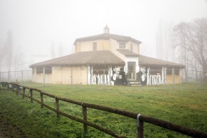Nebbia-in-valle-Mirandola-4