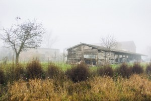Nebbia-in-valle-Mirandola-6
