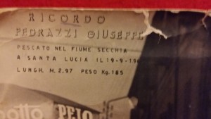 1963-Targa-dedicata-per-la-cattura-dello-storione-nel-Secchia-gent.conc_.Lara-Manzini