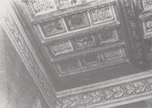 Fig.6 - Particolare del soffitto a cassettoni della casa padronale