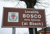 Bosco-della-Saliceta