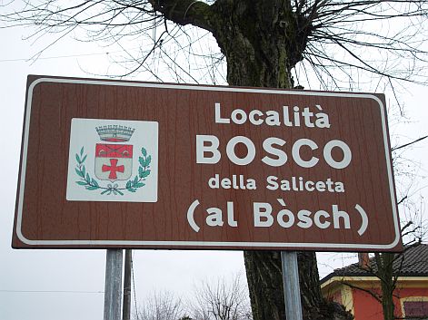 Bosco-della-Saliceta