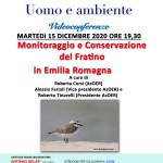 15 dicembre monitoraggio del Fratino - Tinarelli-Farioli