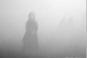 vagando-nella-nebbia