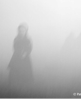 vagando-nella-nebbia