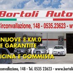 Bortoli Auto logo1